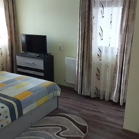 Casa De Vacanta La Ticu Guest house